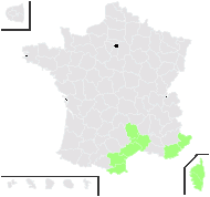 Isoetes duriei Bory - carte de répartition