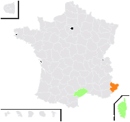 Pilularia minuta Durieu - carte de répartition