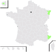 Pteris vittata L. - carte de répartition