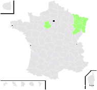 Struthiopteris filicastrum All. - carte de répartition