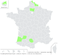 Liquidambar styraciflua L. - carte de répartition