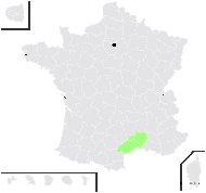 Cistus ×sahucii H.J.Coste & Soulié - carte de répartition