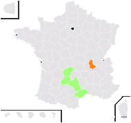 Asplenium ×verbanense Tavel - carte de répartition