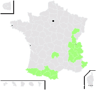 Aspidium ×christii Legrand - carte de répartition