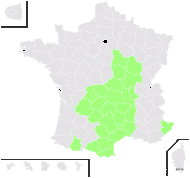 Doronicum austriacum Jacq. - carte de répartition