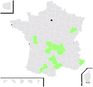 Asplenium ×baumgartneri Dörfl. - carte de répartition