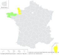 Asplenium ×sarniense Sleep - carte de répartition