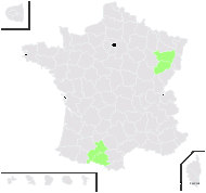 Polystichum ×luerssenii (Dörfl.) Hahne - carte de répartition