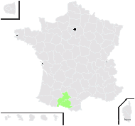 Polystichum ×wirtgenii Hahne - carte de répartition