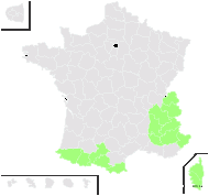 Doronicum jacquini Tausch - carte de répartition