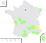 Abies hispanica Chambray - carte de répartition