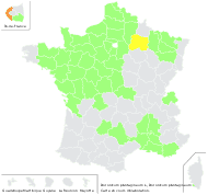 Doronicum plantagineum L. - carte de répartition