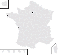 Acer ×zoeschense Pax - carte de répartition