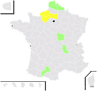 Ulmus ×hollandica Mill. - carte de répartition