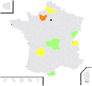 Verbascum ×thapsi L. - carte de répartition