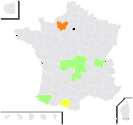 Verbascum ×incanum Gaudin - carte de répartition