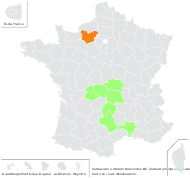 Verbascum ×mixtum Ramond ex DC. - carte de répartition