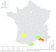 Verbascum ×hybridum Brot. - carte de répartition