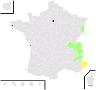 Trimorpha angulosa (Gaudin) Vierh. - carte de répartition