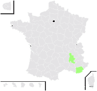 Viola ×sedunensis F.O.Wolf - carte de répartition