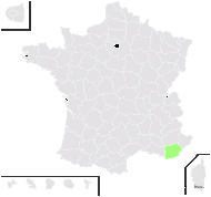 Typha ×provincialis A.Camus - carte de répartition