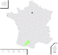 Taraxacum caloschistoides G.E.Haglund ex Sahlin - carte de répartition