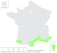 Evax pygmaea (L.) Brot. - carte de répartition