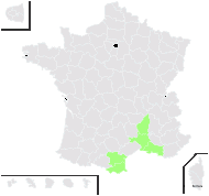 Taraxacum mediterraneum Soest - carte de répartition