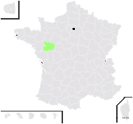 Taraxacum navarrense Sonck - carte de répartition