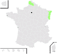 Taraxacum morulum G.E.Haglund - carte de répartition