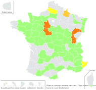 Filago lutescens Jord. subsp. lutescens - carte de répartition