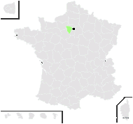 Taraxacum yvelinense Soest - carte de répartition