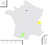 Symphytum peregrinum Ledeb. - carte de répartition