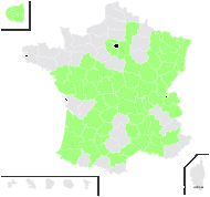 Acer negundo L. subsp. negundo - carte de répartition