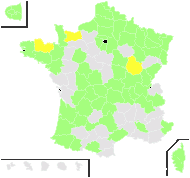 Galinsoga quinqueradiata Ruiz & Pav. - carte de répartition