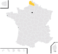 Cynosurus coracanus L. - carte de répartition