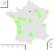 Guizotia abyssinica (L.f.) Cass. - carte de répartition