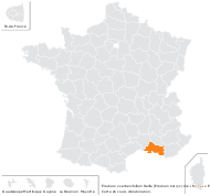 Erodium ×verbenifolium Delile - carte de répartition