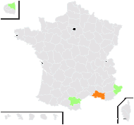 Achillea filipendulina Lam. - carte de répartition