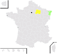 Aesculus pavia L. - carte de répartition