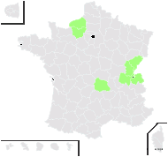 Ajuga vulgaris n-subsp. knaffii (Wolfner) Rouy - carte de répartition