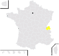 Alchemilla impexa Buser - carte de répartition