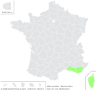 Allium paniculatum var. salinum Debeaux - carte de répartition
