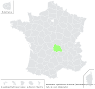 Amaranthus ×adulterinus Thell. - carte de répartition