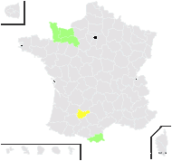 Ammi glaucifolium L. - carte de répartition