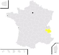 Alchemilla florulenta Buser - carte de répartition