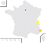 Alchemilla frigens Buser ex Jaquet - carte de répartition