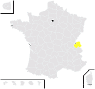 Alchemilla ×hyb. (sans nom1)  - carte de répartition