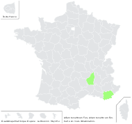 Allium tenuiflorum Ten. - carte de répartition