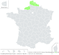 Arctium ×cimbricum (E.H.L.Krause) Hayek - carte de répartition